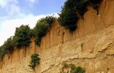 Layers of loess at Cliffsend, Pegwell Bay, near Ramsgate, UK