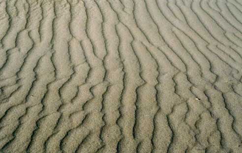 The wind has blown the sand into long low ripples.  Southeastern Manitoba, Canada. © Abigail Burt