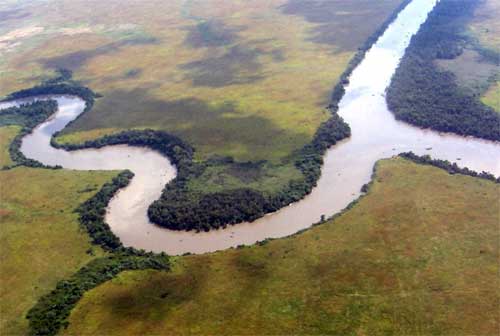 A tributary of the Quelimane River, Zambezia Province, Mozambique. © Richard Burt