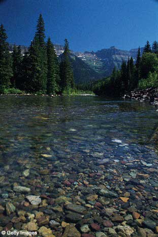 Stream