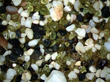 White shells, green olivine and black obsidian from Hawaii, USA. © Abigail Burt