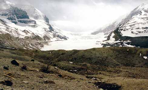 The bumpy ridge of sediment in front of the glacier is an end moraine.  Columbia Icefield, Jasper National Park, Alberta, Canada. © Abigail Burt