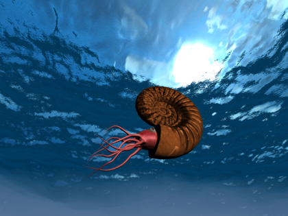 An ammonite bobs around happily in the sea. . .