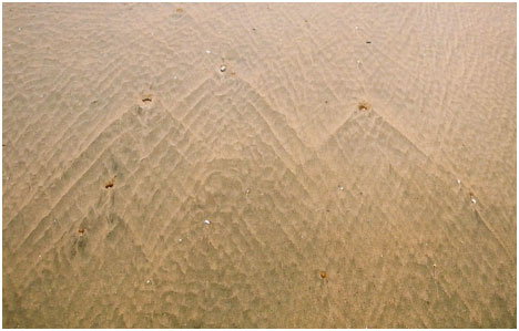 Water is deflected around objects like pebbles.  This creates V-shaped ripples.  Camber Sands, East Sussex, England.  © Abigail Burt