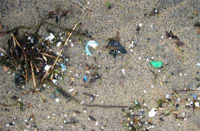 Plastic sand grains on St. Agnes beach, Cornwall, England. © Abigail Burt