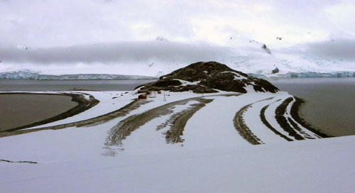 Le lunghe creste curve che emergono dalla neve sono una serie di spiagge sollevate. Isola di Half Moon Island, Isole Shetland del Sud, Antartide. © Abigail Burt