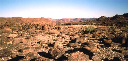 Un deserto roccioso nella valle Tantalite, vicino al fiume Orange in Namibia. © Richard Burt