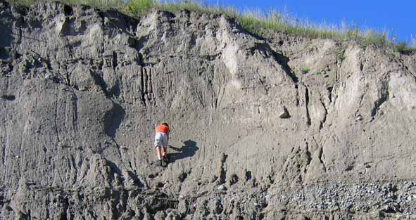Glacial till deposited over sand and gravel, near Barrie, Ontario, Canada.  The geologist is getting a sample of the till. © OGS Queens Printer 2005