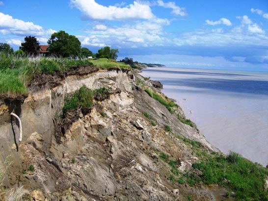 Waves are undercutting the cliffs along the shore of Lake Erie, Ontario, Canada.  The sediment that falls into the lake gets washed away.  Can you see the white field drain sticking out of the cliff? © Abigail Burt