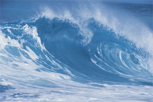 La maggior parte dell'acqua della Terra costitusce gli oceani.