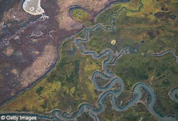 Meandering river