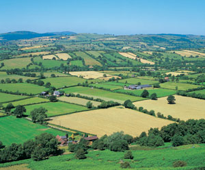 Fields